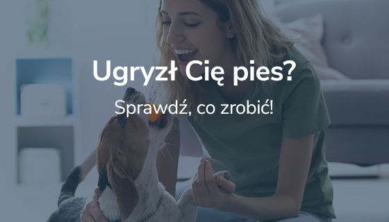 Ugryzł cię pies. Sprawdź, co zrobić