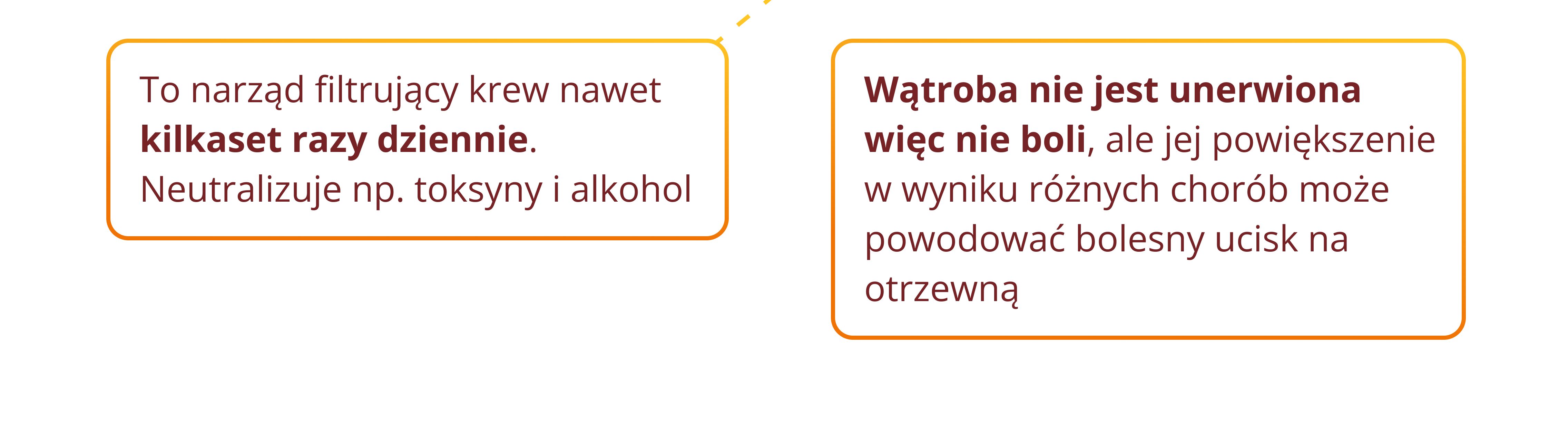czy wiesz, że